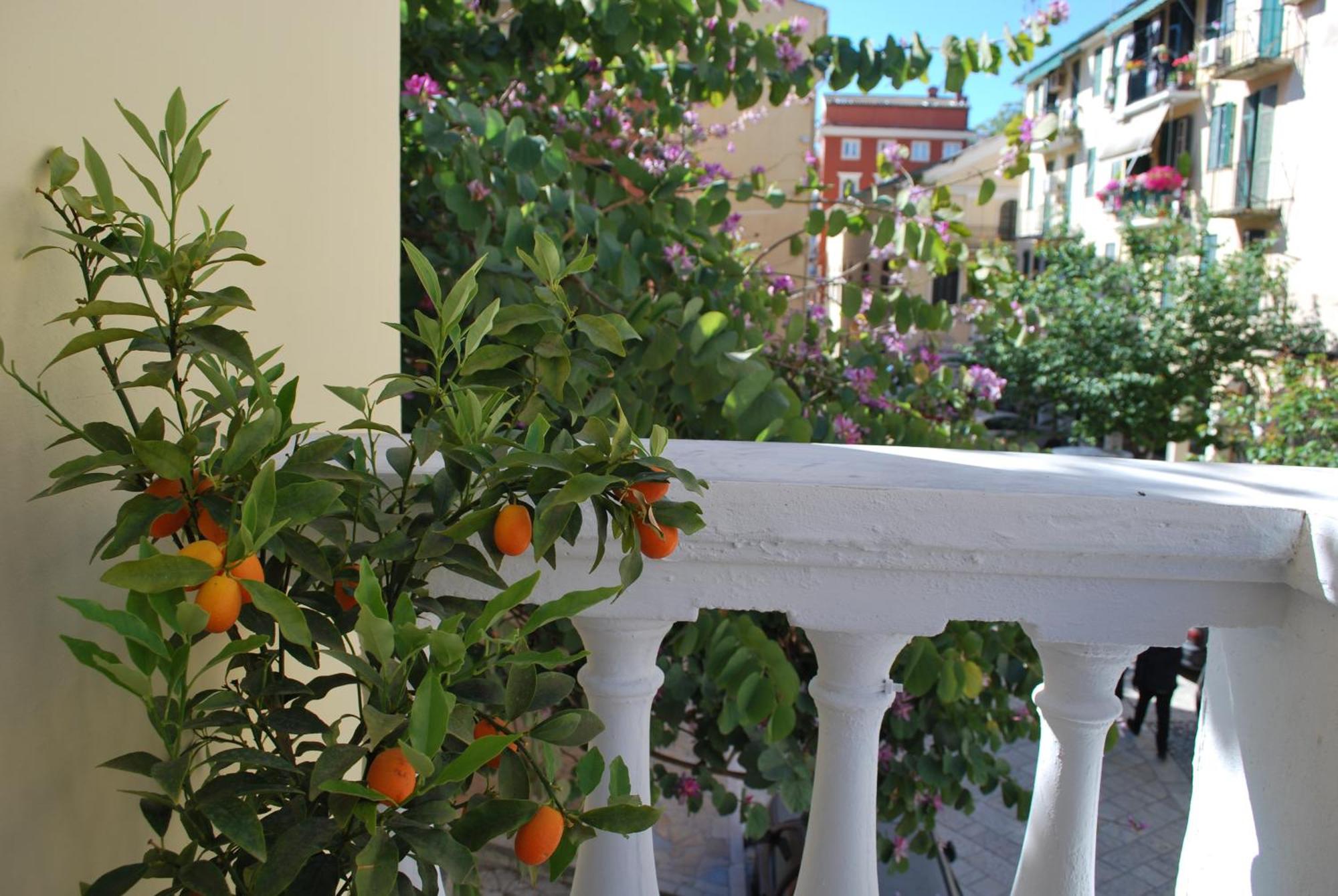 Lilliput Studio Corfu Old Town Екстер'єр фото